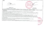 tcb-xot-muoi-kim-chi-han-quoc-barona-hinh-anh-5